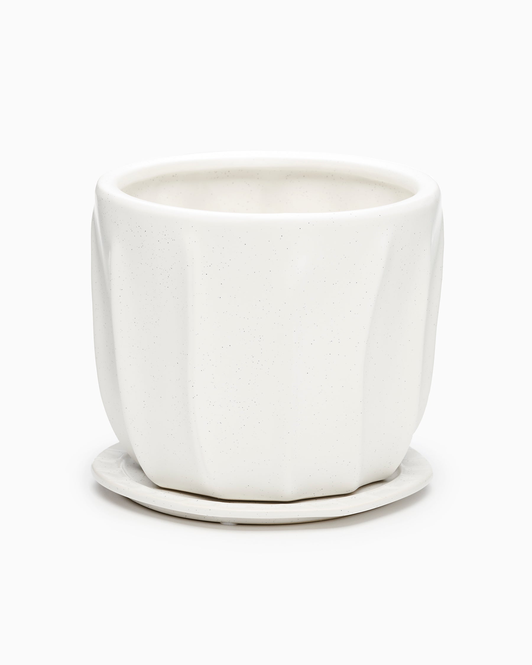 Draken Pot - Large