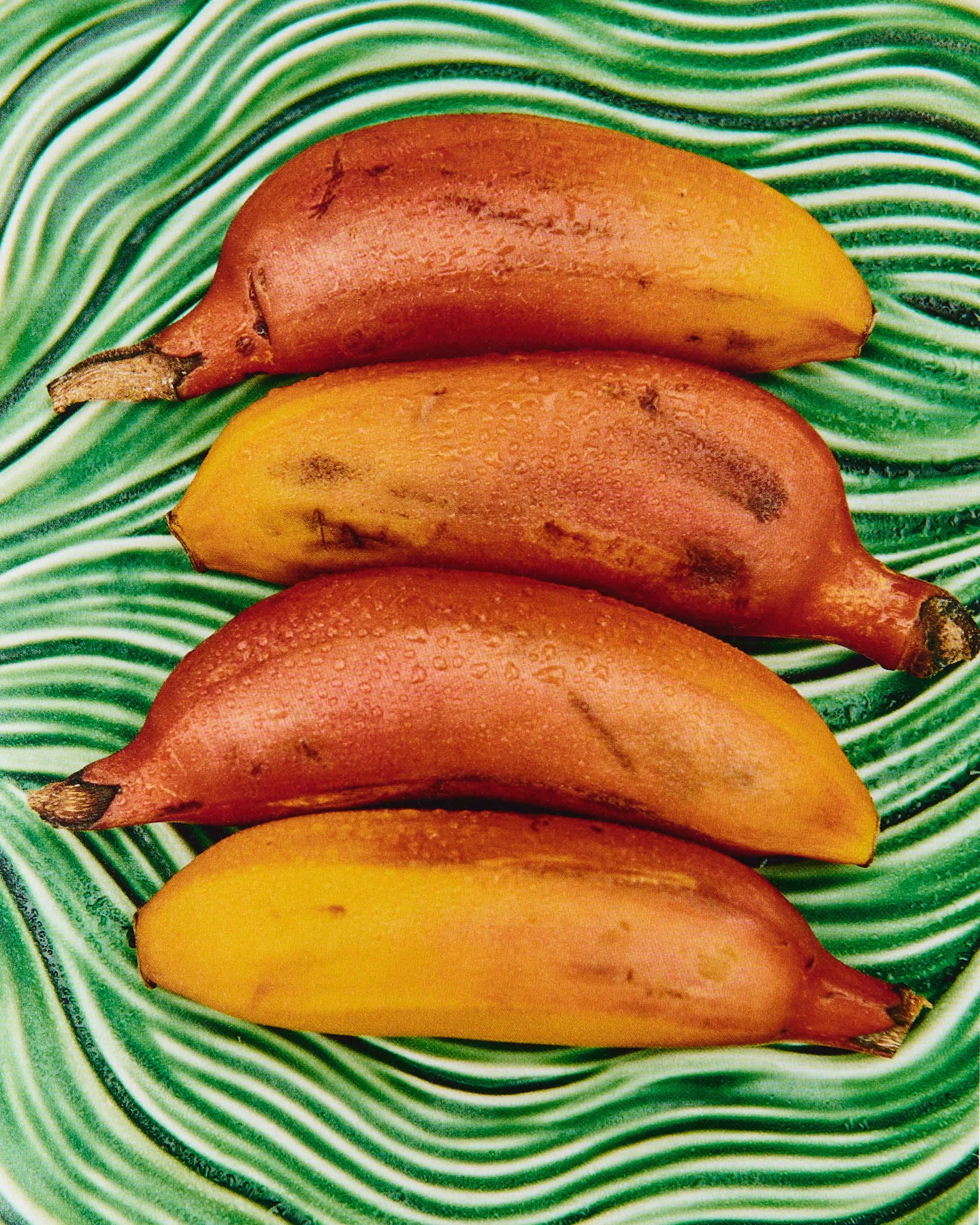 Madeira: Recipes & Wanderings