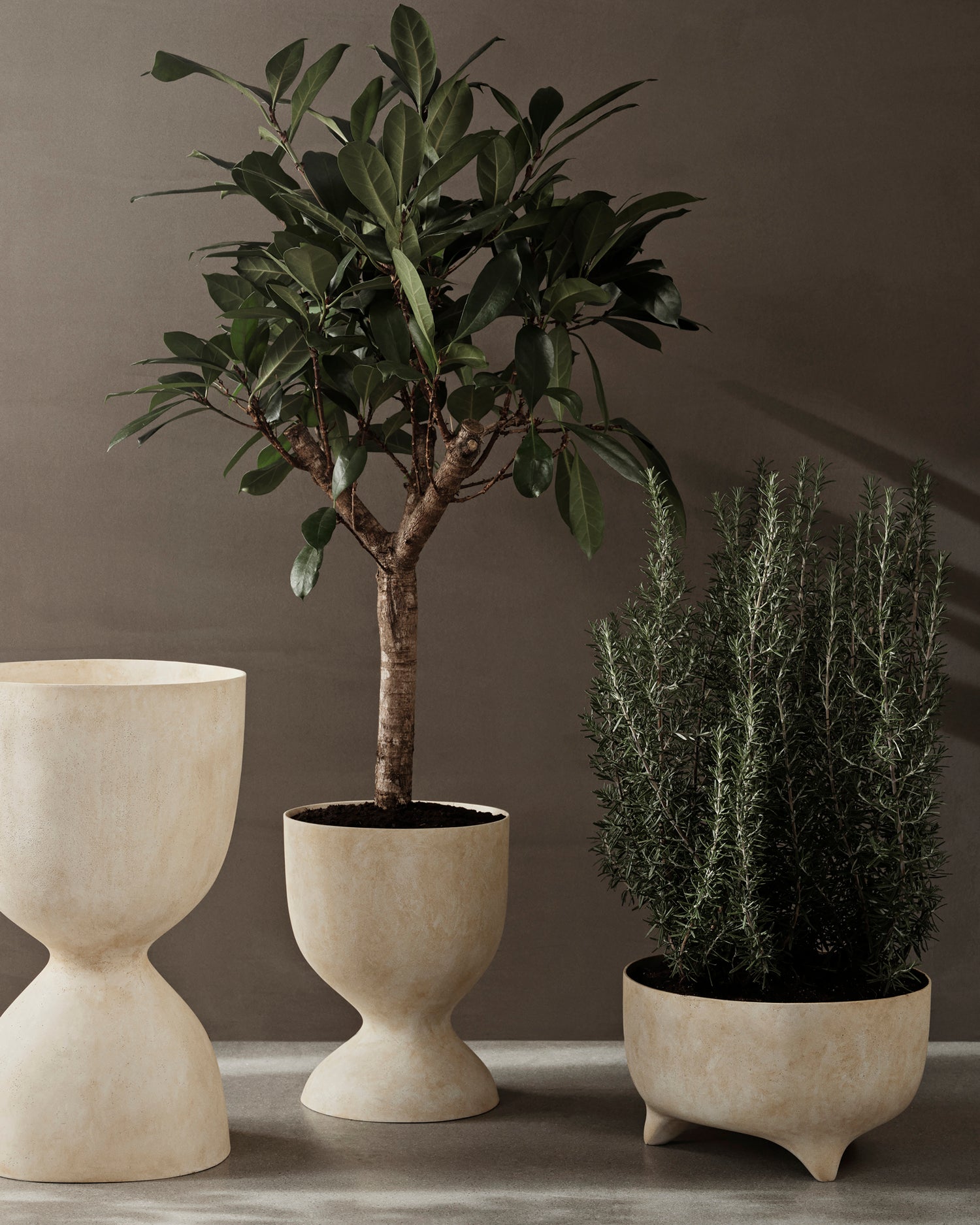 Evoke Pot - Low